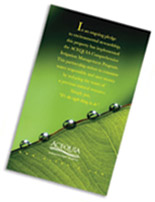Acequia Poster